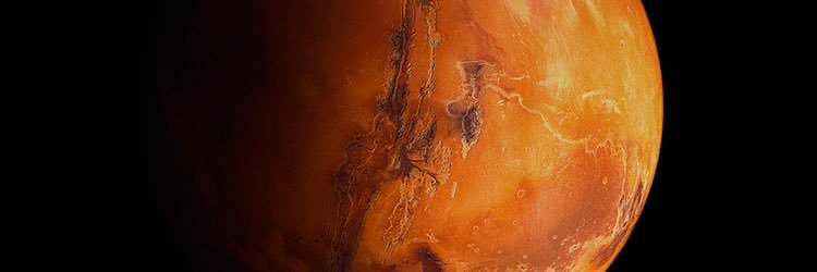 shalawkafe's profile banner image