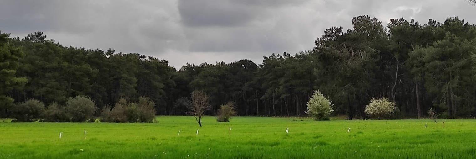 MuradCANAKCI's profile banner image