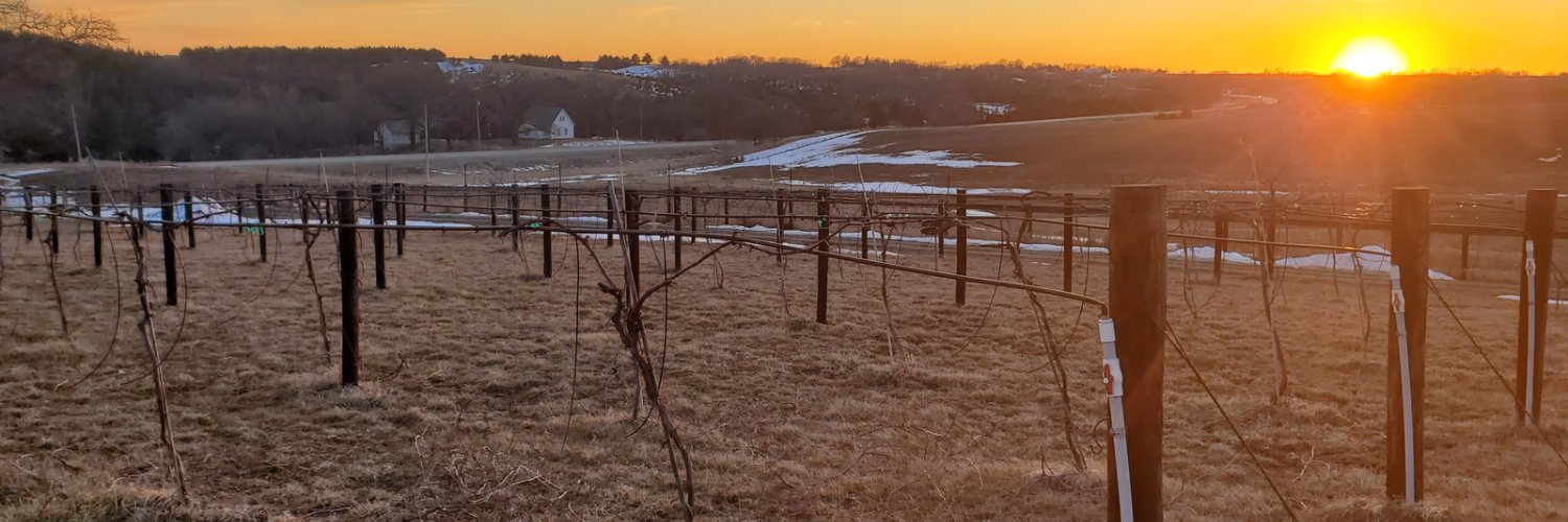 IaWine's profile banner image