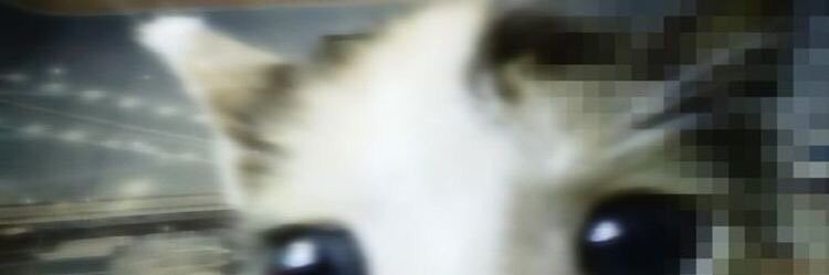 shykigami's profile banner image