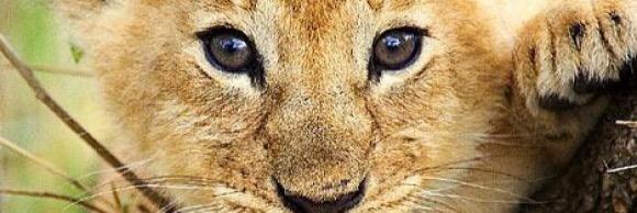 veerovento's profile banner image