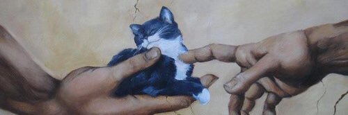 cotenazar's profile banner image