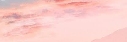 pinkpadpad banner