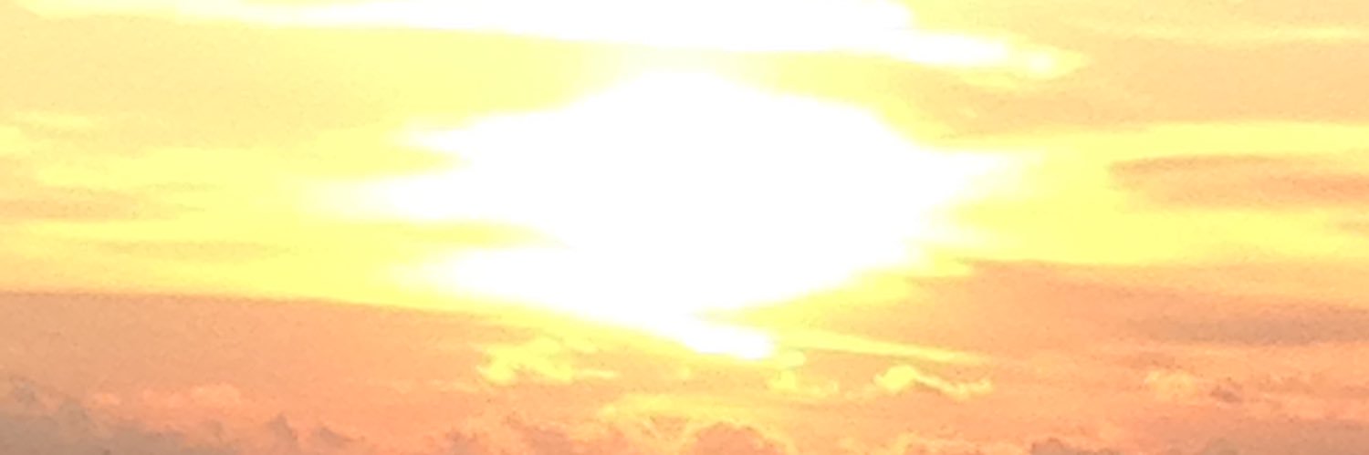 senseiTacoBell's profile banner image