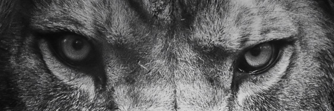 _SaezJr's profile banner image