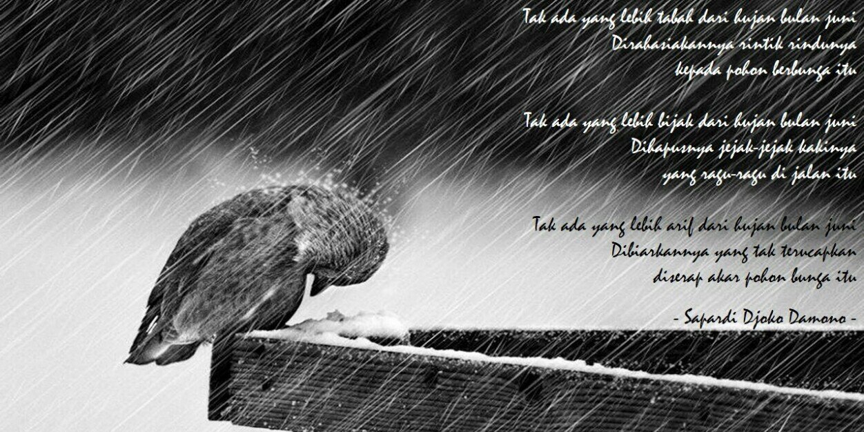pipitmentari's profile banner image