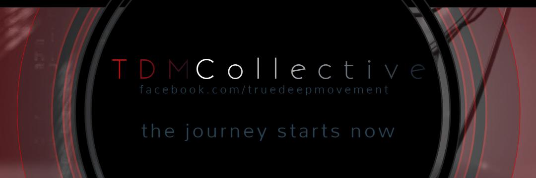 TDMCollective's profile banner image