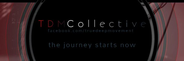 TDMCollective Profile Banner