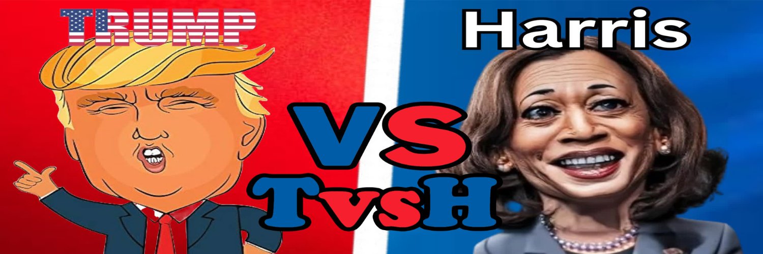 TvsH_sol's profile banner image