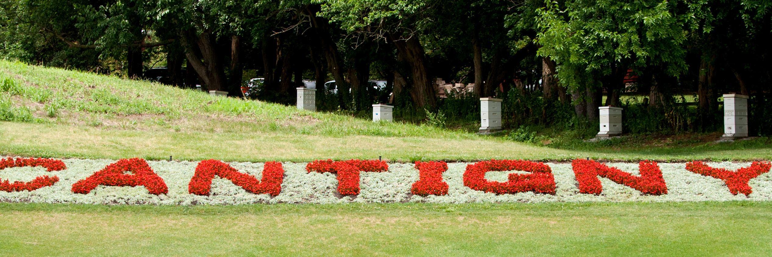 SCOTTAWITTE's profile banner image
