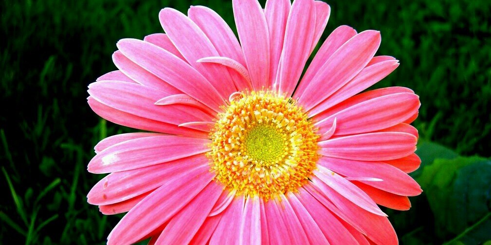 11_tess's profile banner image