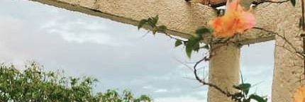 justangelai's profile banner image