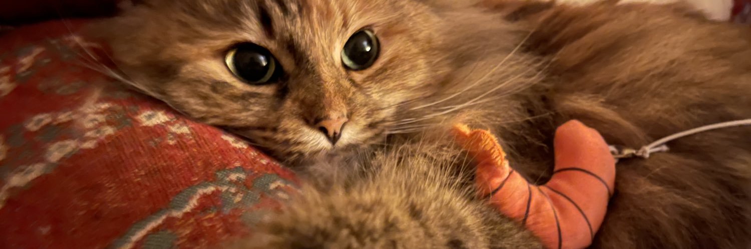 candyasslib's profile banner image