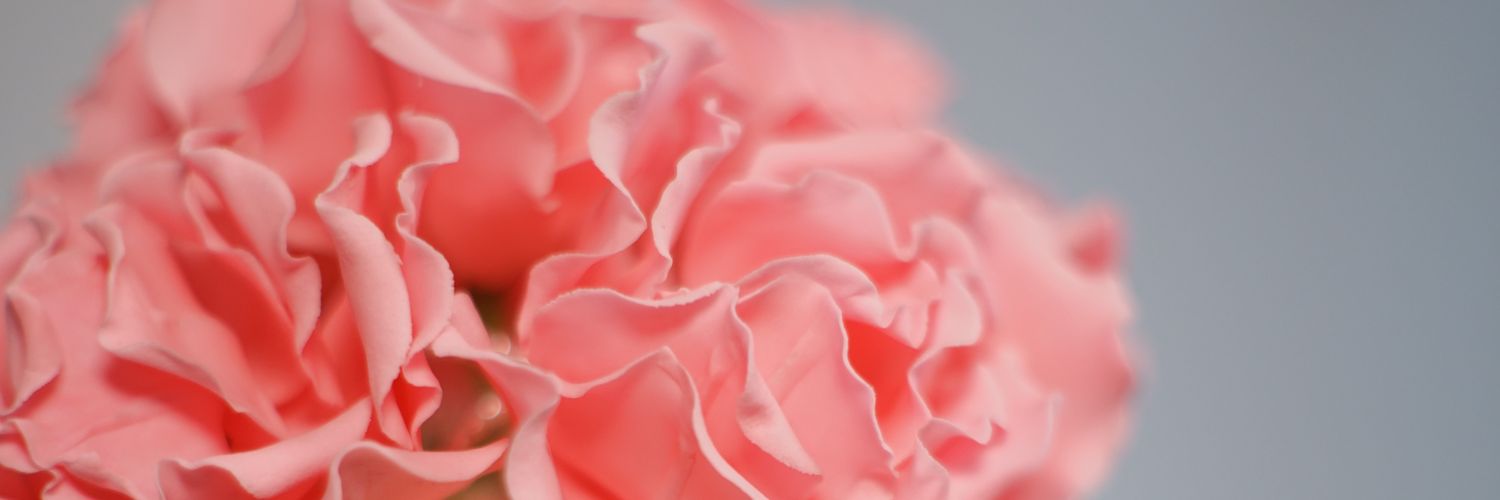 mysweetart's profile banner image