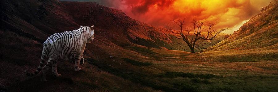 arrobaputierrez's profile banner image