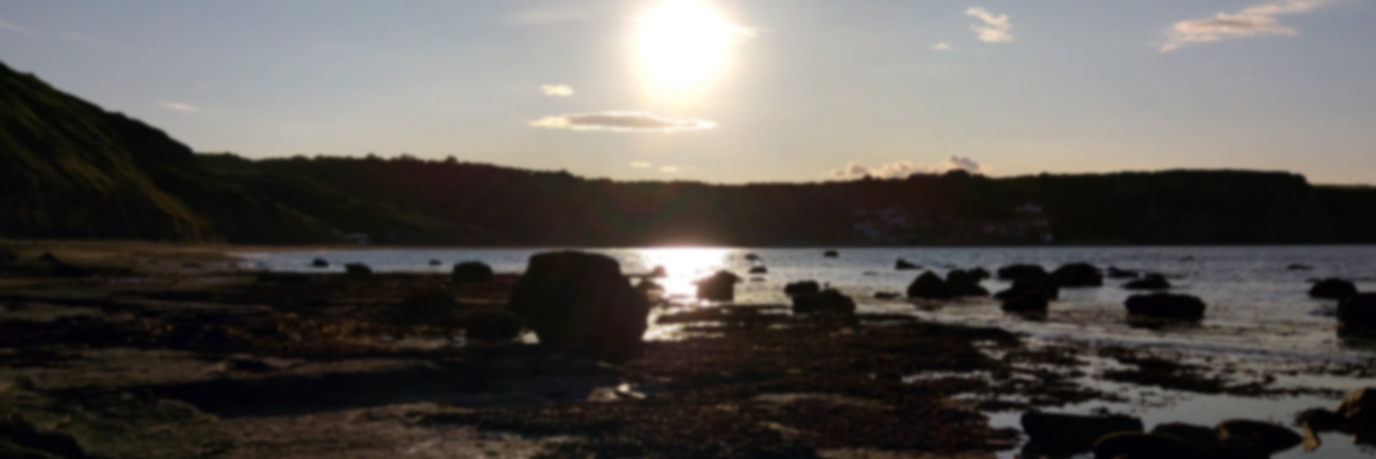 ToranSharma's profile banner image