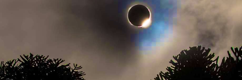 🅰️Palacios D’l42% banner