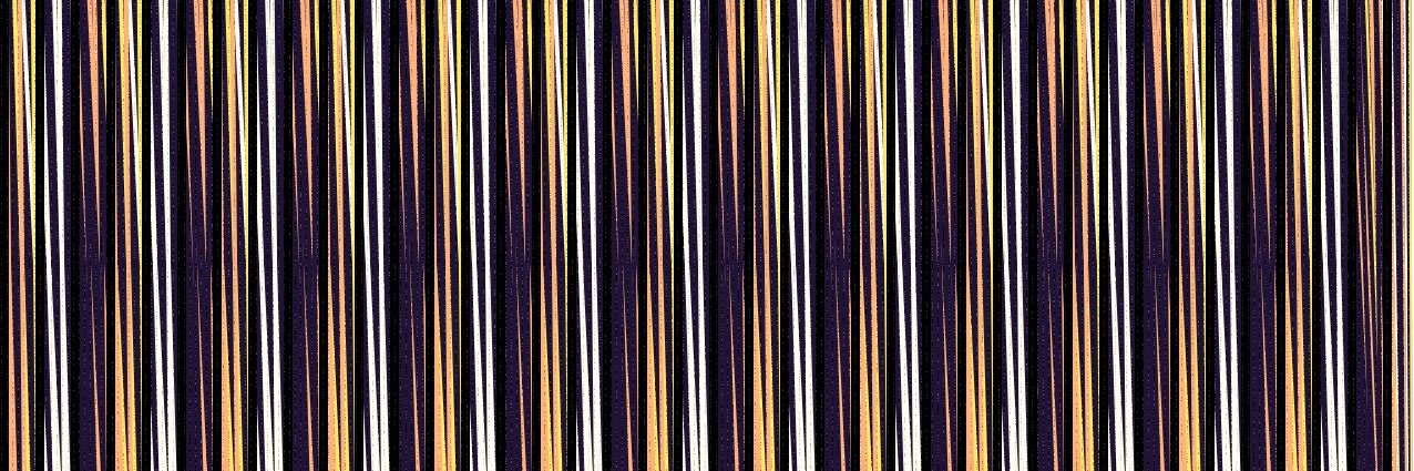 Juan Francisco banner