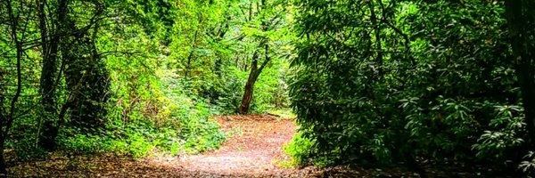 Lar_ammar Profile Banner