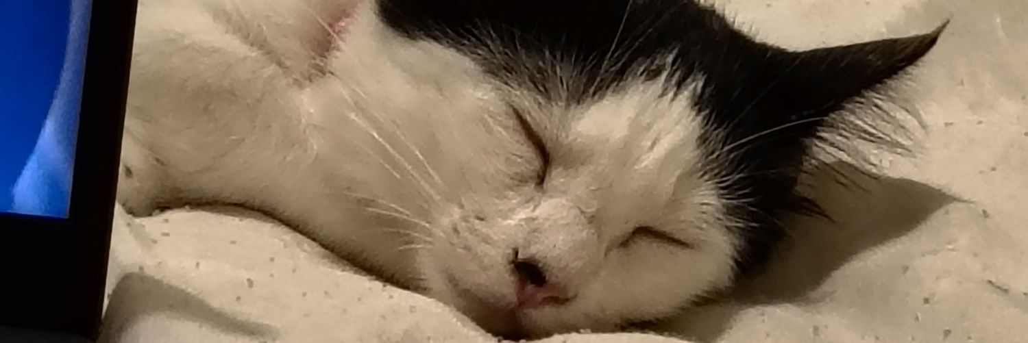 itsbalaclava's profile banner image