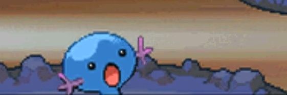 Paydertot's profile banner image