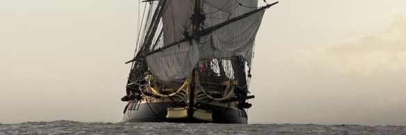 Mark C. Trebels banner