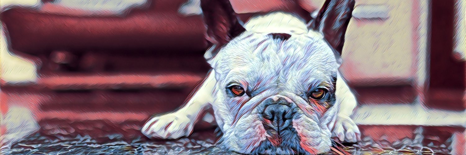 xaviercandoc's profile banner image
