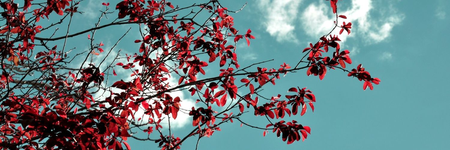 Lbusem's profile banner image