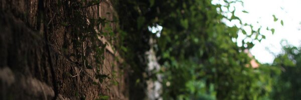 danlu_ai Profile Banner