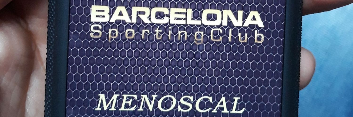 gustavomenoscal's profile banner image