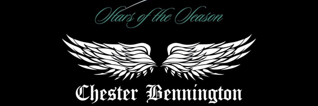 David M. Curran banner