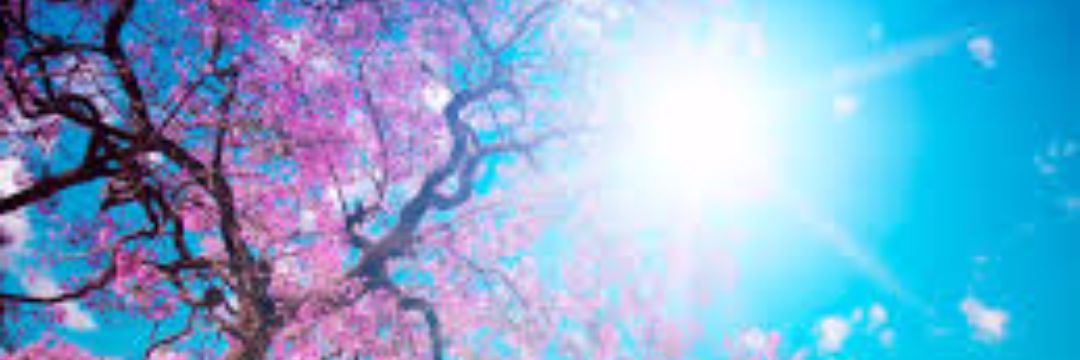 loulouch77's profile banner image