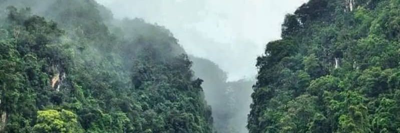 Thagon_Dale's profile banner image