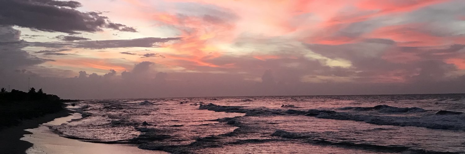 pamelasierra72's profile banner image