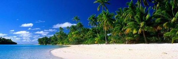 andre_evol Profile Banner