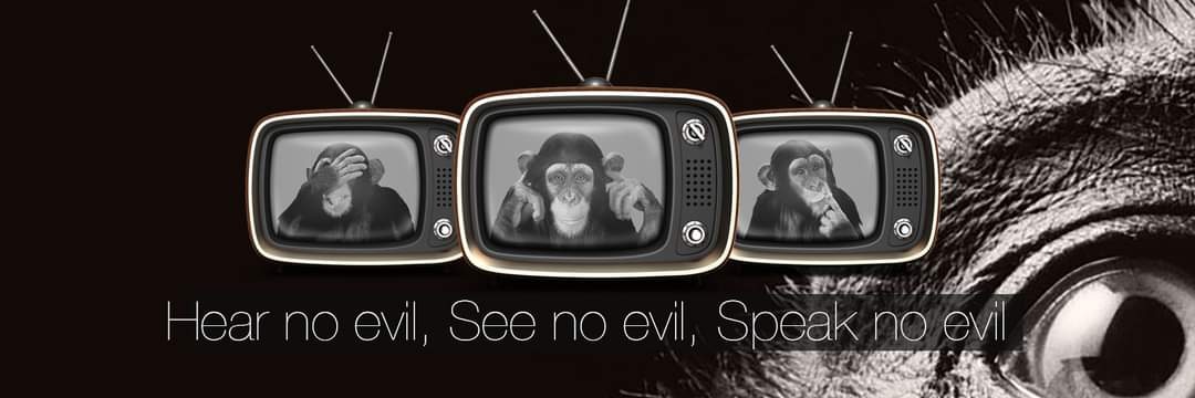 WISEMONKEYSNL's profile banner image