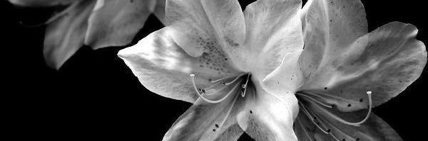 ۟ banner