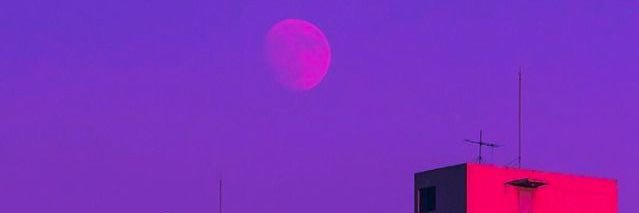 suchwita's profile banner image