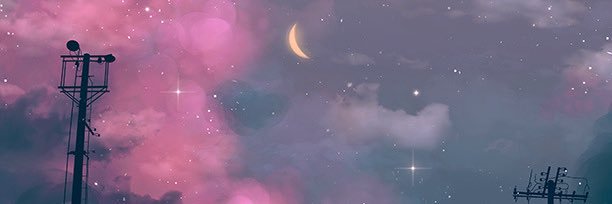 coddled's profile banner image