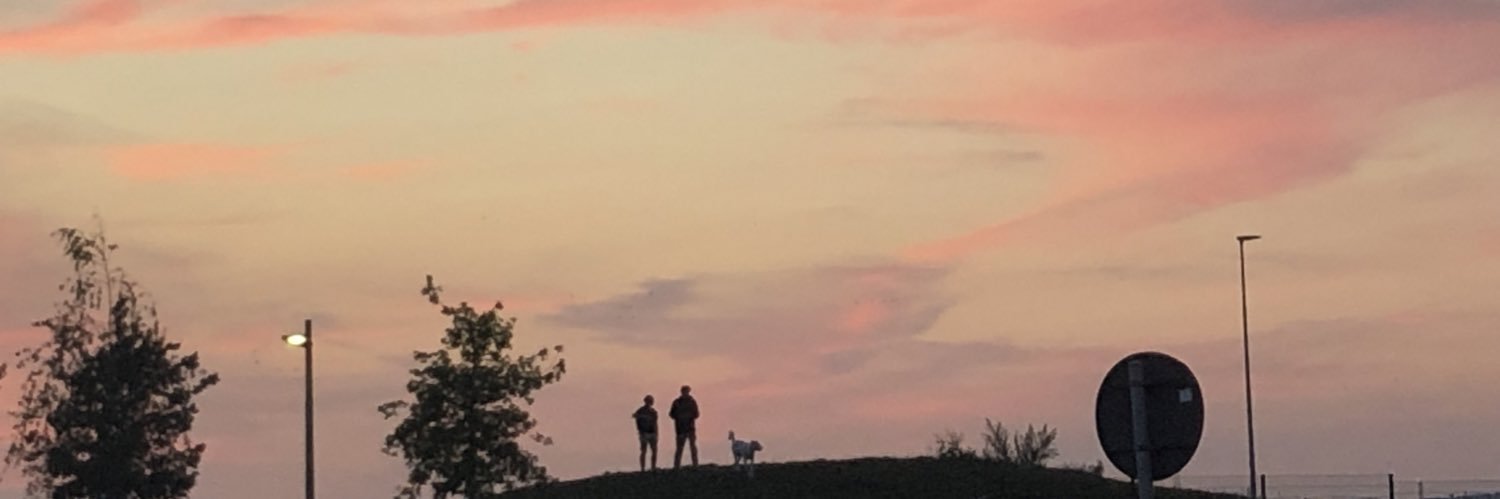 visje_29's profile banner image