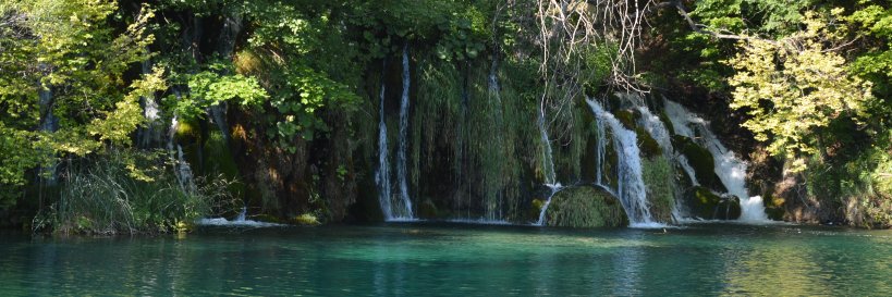 Lord Yorch il dottore banner