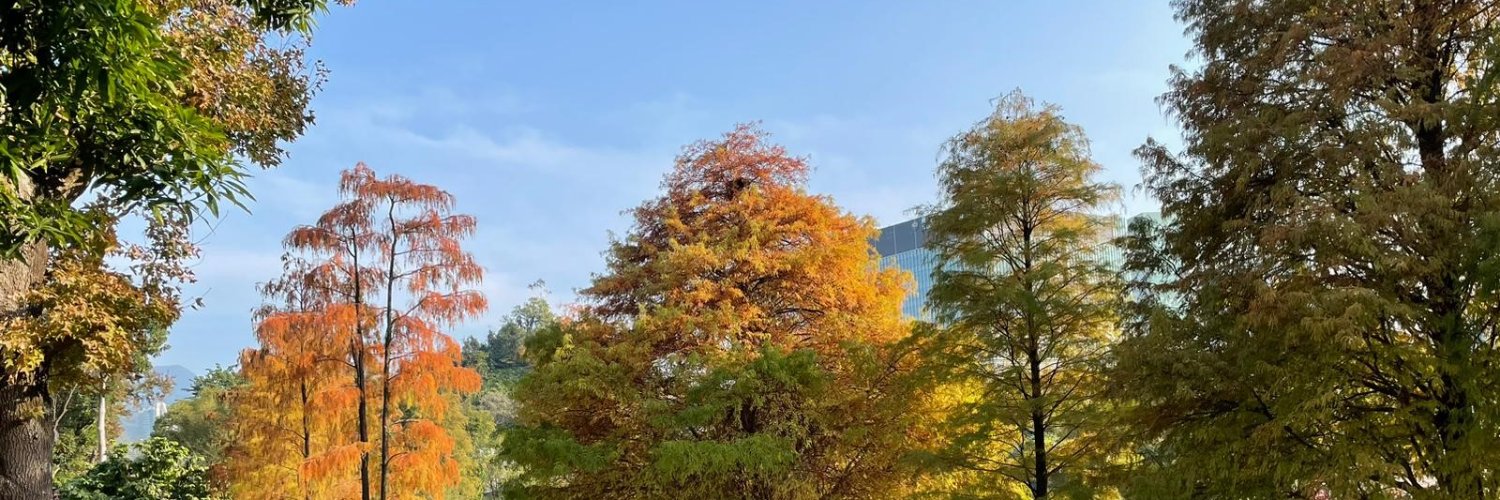 ZouTracy's profile banner image