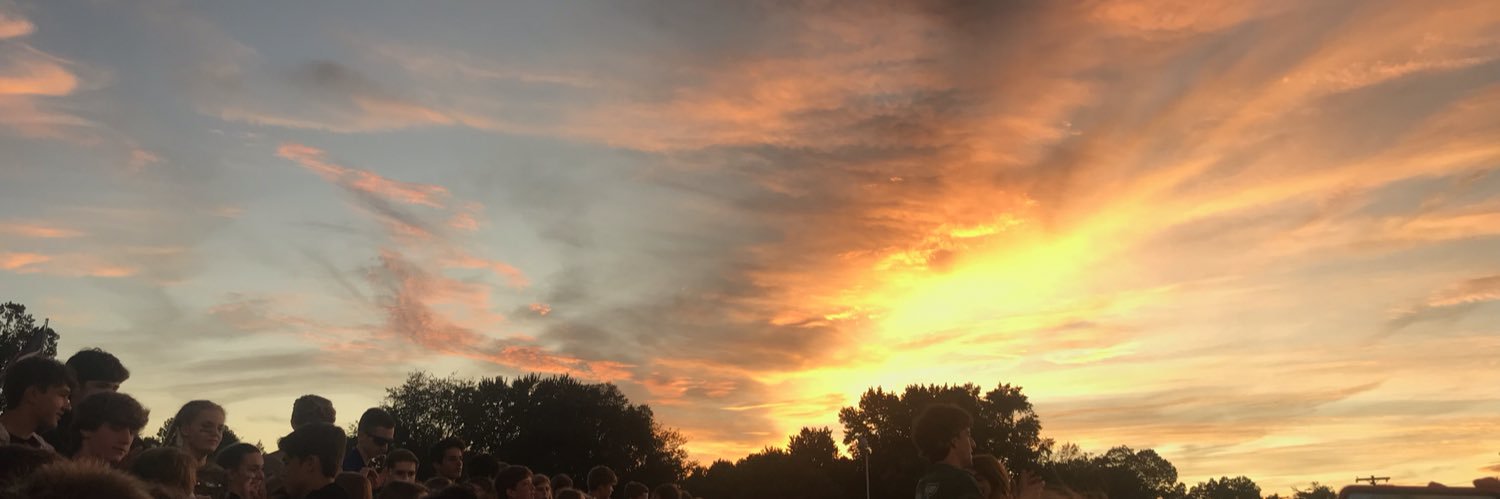 AmeliaDessauer's profile banner image