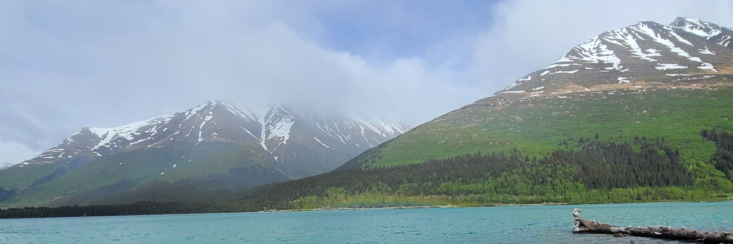 Riley Atwood banner