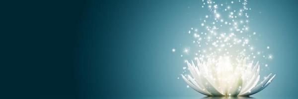 QuadpawdReiki Profile Banner