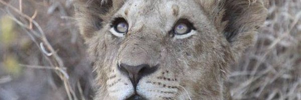 ACM_CEO Profile Banner