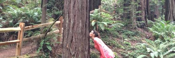 jmccluan Profile Banner