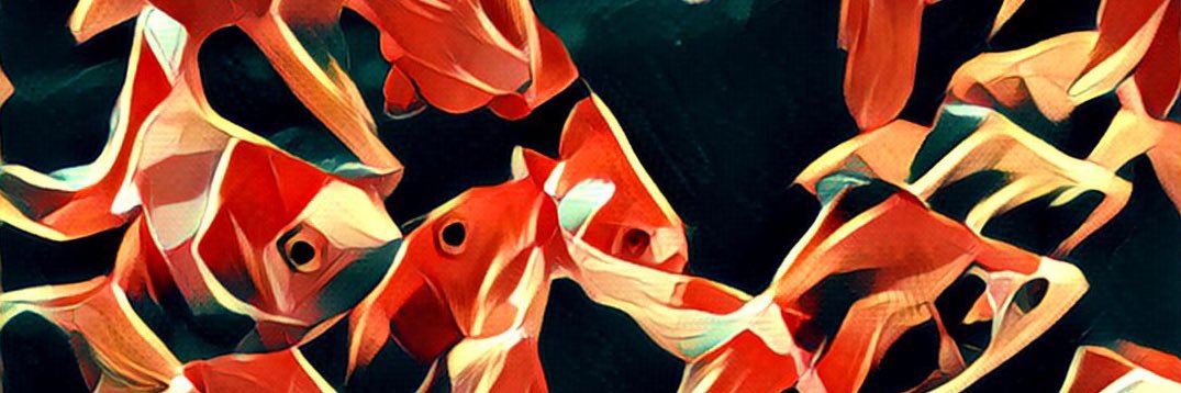 tama571's profile banner image