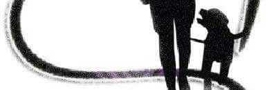 TrainerGirl760's profile banner image