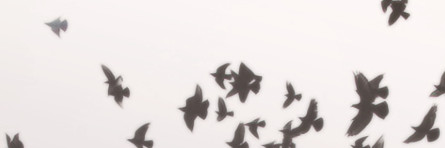 dsndrns's profile banner image